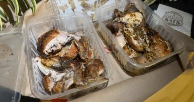 Garlic chicken ordered to take away at Galeto Sat’s in Copacabana