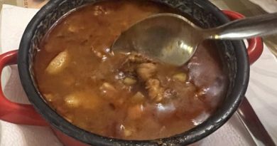 Goulash soup served in a red-handled pot at Frici Papa