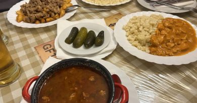Hungarian dishes at Frici Papa in Budapest, including goulash, beef stew and chicken paprikash