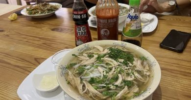 Pho bowls and a noodle dish at Pho Very Good Budapest